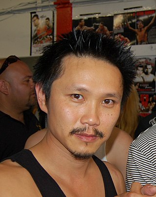 <span class="mw-page-title-main">Steven Ho (martial artist)</span> American martial artist and stuntman