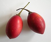 Tamarillo (Baumtomate)