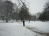 Acton Park