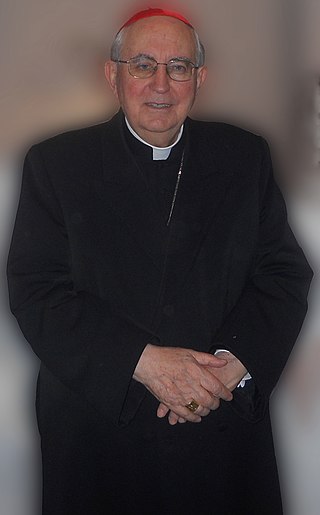 <span class="mw-page-title-main">Agostino Vallini</span> Italian prelate of the Catholic Church (born 1940)