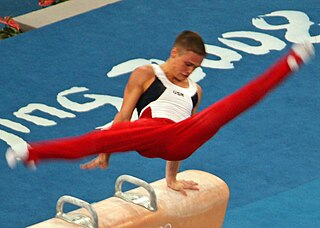 <span class="mw-page-title-main">Alexander Artemev</span> American artistic gymnast