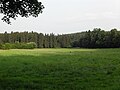 Am Großen Rohde im Elm bei Braunschweig