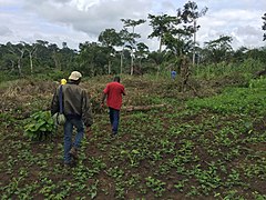 Checking the fields.jpg