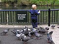 * Nomination Time-out from feeding the duckspigeons to test the duck pond security --Tony Wills 03:06, 4 November 2007 (UTC) * Decline Nice composition and theme. I like the motion blur in the pigeons but not in the child's hand. Also, the quality of the image is poor, with some noise and colour fringing - Alvesgaspar 23:10, 4 November 2007 (UTC)