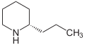 de: Struktur von Coniin; en: Structure of coniine