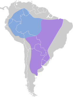 Distribución geográfica del tuquito gris.