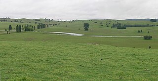 <span class="mw-page-title-main">Northern Tablelands</span> Region in New South Wales, Australia