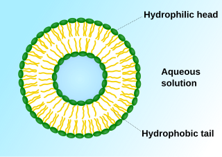 <span class="mw-page-title-main">Ligand-targeted liposome</span> Ligand-targeted liposomes for use in medical applications