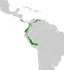 Lophotriccus pileatus map.svg