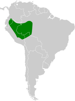 Distribución geográfica del coronafelpa.