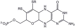 <span class="mw-page-title-main">Molybdopterin</span> Chemical compound