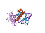 PDB 1wjm EBI.jpg