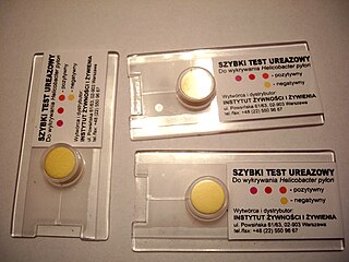 <span class="mw-page-title-main">Rapid urease test</span> Test for Heliobacter pylori infection