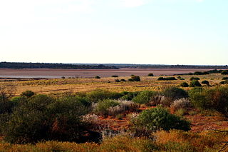 Mamungari Conservation Park Protected area in South Australia