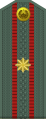 Mayor (Uzbek Ground Forces)[95]