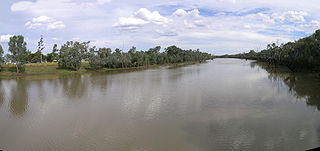 <span class="mw-page-title-main">Warrego River</span> River in Australia