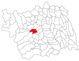 Location in Bacău County