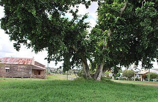 <span class="mw-page-title-main">Binjour</span> Suburb of North Burnett Region, Queensland, Australia