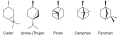 de: Struktur einiger wichtiger bizyklischen Monoterpenen; en: Structure of some important bicyclic monoterpenes