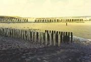 De typische 'paalhoofden' op het strand