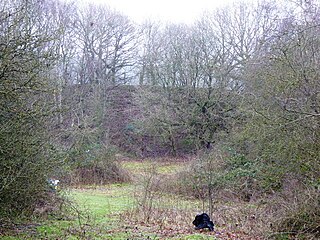 <span class="mw-page-title-main">Cold Ash Quarry</span> Protected area in Berkshire, England