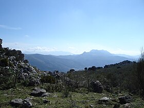 Cortes de la Frontera