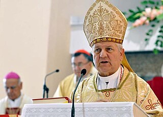 <span class="mw-page-title-main">Franjo Komarica</span> Bosnian prelate