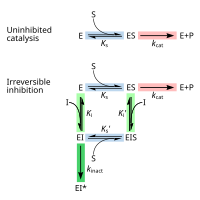 Depiction of the reversible chemical equilibria between enzyme + substrate, enzyme/substrate complex, and enzyme + product, and two competing equilibria. The first is between enzyme + inhibitor, enzyme/inhibitor non-covalent complex, followed by irreversible formation of the covalent complex. The second is between enzyme/substrate complex + inhibitor, noncovalent enzyme/substrate, followed by irreversible formation of the covalent complex