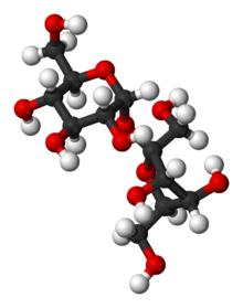 Ball-and-stick model of sucrose