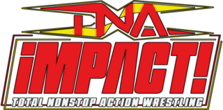 <i>TNA Impact!</i> American professional wrestling TV program