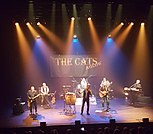 The Cats Aglow Band