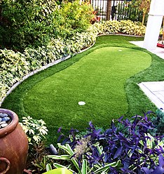 Artificial Putting Green.JPG