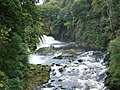 Bonnington Linn.