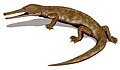 Champsosaurus BW.jpg