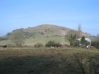 <span class="mw-page-title-main">Cley Hill</span> Hill in Wiltshire, England