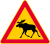 Elk or deer