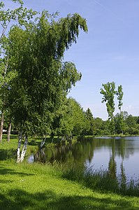 Weiher von Firbeix (Étang de Firbeix)