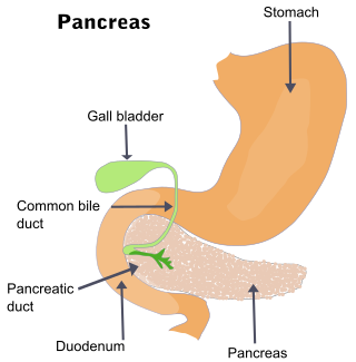 <span class="mw-page-title-main">Gallbladder cancer</span> Medical condition