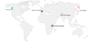 <span class="mw-page-title-main">Language isolate</span> Language that has no demonstrable genetic relationship with another language