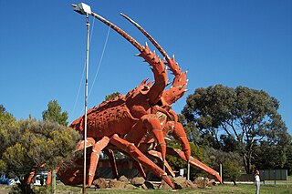 <span class="mw-page-title-main">Kingston SE</span> Town in South Australia