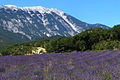 Le Mont Ventoux