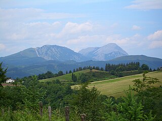 <span class="mw-page-title-main">Leintz Gatzaga</span> Municipality in Basque Country, Spain