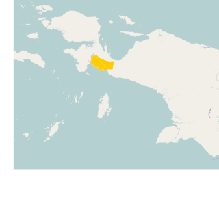 <span class="mw-page-title-main">Mairasi languages</span> Family of Papuan languages