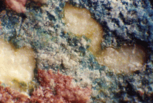 Microscopic image of a mural at Bonampak Mic bonampak.gif