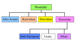 <span class="mw-page-title-main">Nostratic languages</span> Proposed superfamily of Eurasian and African languages