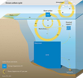 <span class="mw-page-title-main">Oceanic carbon cycle</span> Ocean/atmosphere carbon exchange process