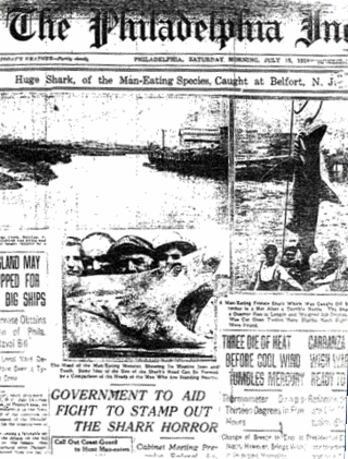 <span class="mw-page-title-main">Jersey Shore shark attacks of 1916</span> Shark attacks in the US