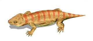 <i>Procolophon</i> Extinct genus of reptiles