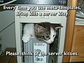 "Server-kitty.jpg" by User:Gurch