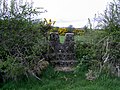 19th. concrete Stile,(v1)Mass-Path, Collinstown